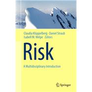 Risk - A Multidisciplinary Introduction by Kluppelberg, Claudia, 9783319044859