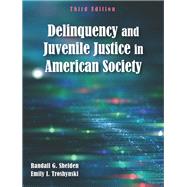Delinquency and Juvenile Justice in American Society by Shelden, Randall G.; Troshynski, Emily I., 9781478634874
