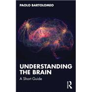 Understanding the Brain by Paolo Bartolomeo, 9781041244875