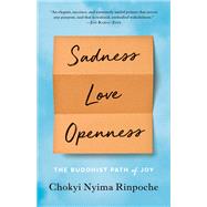 Sadness, Love, Openness The Buddhist Path of Joy by RINPOCHE, CHOKYI NYIMA, 9781611804881