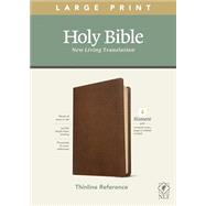 Holy Bible by Tyndale House, 9781496444882