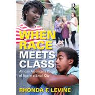 When Race Meets Class by Levine, Rhonda F., 9780367134884