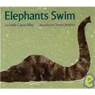 Elephants Swim by Jenkins, Steve, 9780395934890