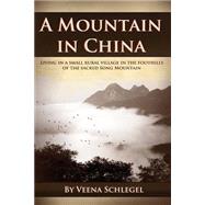 A Mountain in China by Schlegel, Veena, 9781507824900