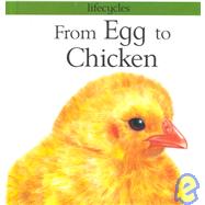 From Egg to Chicken by Legg, Gerald; Scrace, Carolyn; Salariya, David, 9780531144909