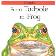 From Tadpole to Frog by Stewart, David Evelyn, 9780531144916
