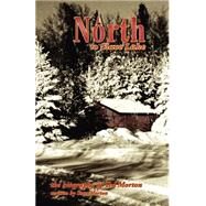 North to Slave Lake by Morton, Stan A., 9781412004923