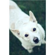 White Dog Journal by I'm Really a Journal, 9781523484928