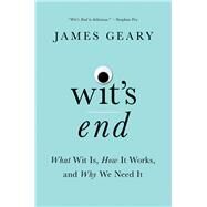Wit's End What Wit Is, How It Works, and Why We Need It by Geary, James, 9780393254945