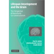 Lifespan Development and the Brain: The Perspective of Biocultural Co-Constructivism by Edited by Paul B. Baltes , Patricia A. Reuter-Lorenz , Frank Rösler, 9780521844949