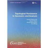 Topological Persistence in Geometry and Analysis by Polterovich, Leonid; Rosen, Daniel; Samvelyan, Karina; Zhang, Jun, 9781470454951