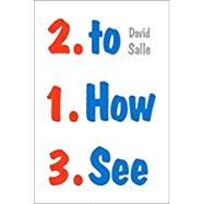 How to See by Salle, David, 9780393354966