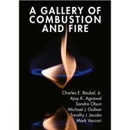 A Gallery of Combustion and Fire by Baukal, Charles, Jr., 9781107154971