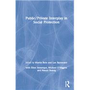 Public/Private Interplay in Social Protection by Rein,Martin, 9780873324984