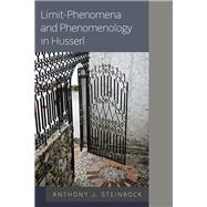 Limit-phenomena and Phenomenology in Husserl by Steinbock, Anthony J., 9781786604989