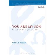 You Are My Son The Family of God in the Epistle to the Hebrews by Peeler, Amy L. B.; Keith, Chris, 9780567665010