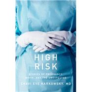 High Risk Stories of Pregnancy, Birth, and the Unexpected by Karkowsky, Chavi Eve, MD, 9781631495014