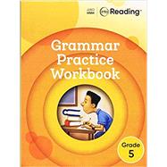 Into Reading Grammar Practice Workbook Grade 5 by Houghton Mifflin, 9780358245025