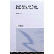 Youth Crime And Youth Culture In The Inner City by Sanders,Bill, 9780415355032
