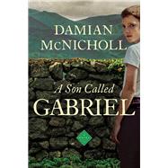 A Son Called Gabriel by McNicholl, Damian, 9781681775043