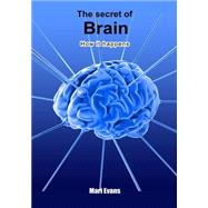 The Secret of Brain by Evans, Mari, 9781505955057