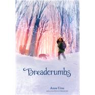 Breadcrumbs by Ursu, Anne; Mcguire, Erin, 9780062015068