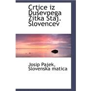 Crtice Iz Dusevnega Zitka Staj. Slovencev by Pajek, Josip, 9780559355080