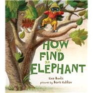 How to Find an Elephant by Banks, Kate; Kulikov, Boris, 9780374335083