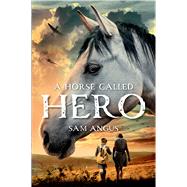 A Horse Called Hero by Angus, Sam, 9781250045089