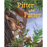 Pitter and Patter by Sullivan, Martha; Morrison, Cathy, 9781584695097