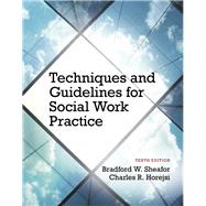 Techniques and Guidelines for Social Work Practice by Bradford W. Sheafor; Charles R. Horejsi, 9780205965106