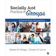 Socially Just Practice in Groups by Ortega, Robert M.; Garvin, Charles D., 9781412995108