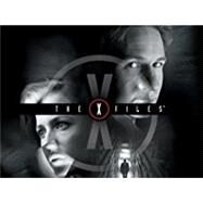 The X Files: Season 1 DVD (B000BOH986) by David Duchovny (Actor), Gillian Anderson (Actor), Daniel Sackheim (Director), David Nutter (Director), 8780000135125