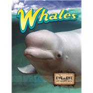 Whales by Greve, Tom, 9781615905133