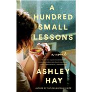 A Hundred Small Lessons A Novel by Hay, Ashley, 9781501165146