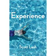 Experience New Foundations for the Human Sciences by Lash, Scott, 9780745695150