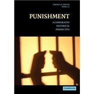 Punishment: A Comparative Historical Perspective by Terance D. Miethe , Hong Lu, 9780521605168