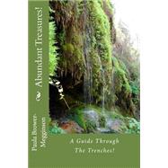 Abundant Treasures! by Brower-megginson, Paula, 9781502805171