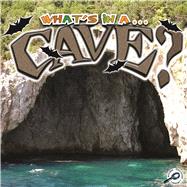 Cave by Maurer, Tracy N., 9781615905171