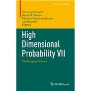 High Dimensional Probability by Houdr, Christian; Mason, David; Reynaud-bouret, Patricia; Rosinski, Jan, 9783319405179