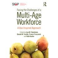 Facing the Challenges of a Multi-Age Workforce: A Use-Inspired Approach by Finkelstein; Lisa M., 9781848725188