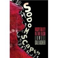 Sodomscapes Hospitality in the Flesh by Gallagher, Lowell, 9780823275205