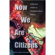 Now We Are Citizens by Postero, Nancy Grey, 9780804755207