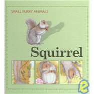 Squirrel by Morris, Ting; Rosewarne, Graham, 9781583405208