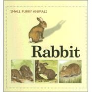 Rabbit by Morris, Ting; Rosewarne, Graham, 9781583405215