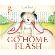 Go Home Flash by Paul, Ruth, 9781492615231