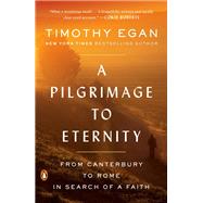 A Pilgrimage to Eternity by Egan, Timothy, 9780735225237