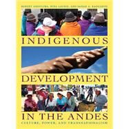 Indigenous Development in the Andes by Andolina, Robert; Laurie, Nina; Radcliffe, Sarah A., 9780822345237