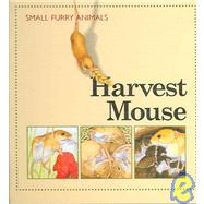 Harvest Mouse by Morris, Ting; Rosewarne, Graham, 9781583405239