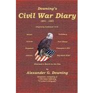 Downing's Civil War Diary by Downing, Alexander G.; Badgley, C. Stephen, 9781456315245